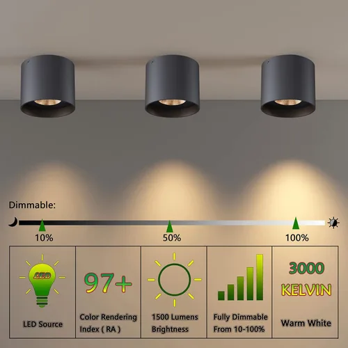 Vista 7 de Lámpara de Techo, Luces de Techo de Montaje al Ras LED Regulables Luz de Techo Cilíndrica Luz Puntual para Sala de Estar Pasillo Cocina Comedor