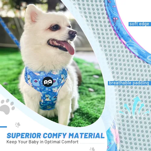 Vista 2 de QQPETS Arnés para perro con correa y soporte para bolsa de excrementos, juego de 4 piezas, ajustable sin tirones, chaleco acolchado de malla suave