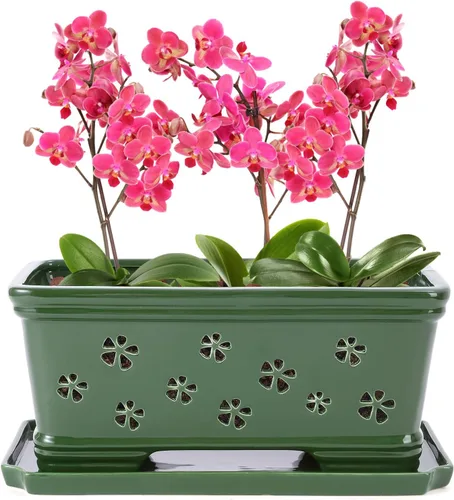 Vista 8 de Maceta rectangular de cerámica para orquídeas de 10 pulgadas con agujeros y platillo, color blanco, drenaje efectivo y ventilación para orquídeas