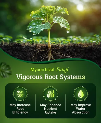 Vista 3 de Fox Farm Happy Frog - Fertilizante de frutas y flores, mezcla orgánica para frutas abundantes y flores vibrantes, fertilizante de fósforo con hongos