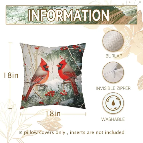 Vista 190 de Juego de 2 fundas de almohada de 16 x 16 pulgadas, diseño patriótico de bandera estadounidense con estrellas para exteriores, estilo casa de campo