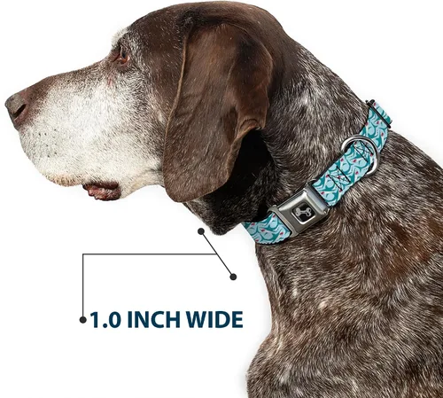 Vista 6 de Collar de perro hebilla de cinturón de seguridad tiburón 3 filas azul claro 9 a 15 pulgadas 1.0 pulgadas de ancho, multicolor Shark Rows Light