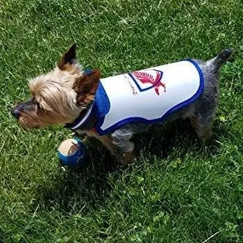 Vista 8 de Chaleco para mascotas resistente a pinchazos para perros pequeños, protección a prueba de garras contra ataques de coyotes, halcones, aves de presa