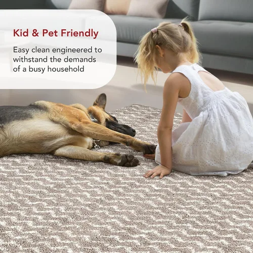 Vista 6 de nuLOOM Cuellar Chevron Shag Alfombra de Área, 9x12, Crema