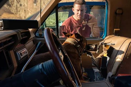 Vista 7 de Dog Das Glück hat vier Pfoten Blu-ray