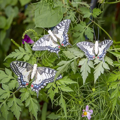 Vista 7 de Juego de 12 decoraciones de mariposa de plumas y mariposas multicolores, mariposas papilio machaon en alambre. Decoración del hogar de primavera