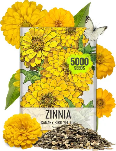 Vista 28 de Seed Needs State Fair - Semillas de zinnia para plantar flores cortadas mixtas, 1 paquete 4-Mezclado
