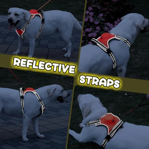 Vista 2 de Arnés para perro 2 en 1 sin tirones y correa retráctil con bloqueo automático, reflectante, ajustable para perros grandes