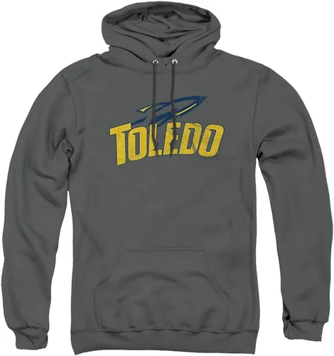 Vista 152 de Distressed College Primary Logo Adult Pullover Hoodie Collection 1 Universidad Estatal de Albany