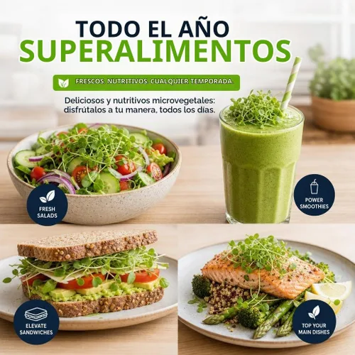 Vista 8 de Kit de cultivo de microgreens de riego automático, la forma más fácil de cultivar microverduras frescas en casa. Incluye bandeja reutilizable