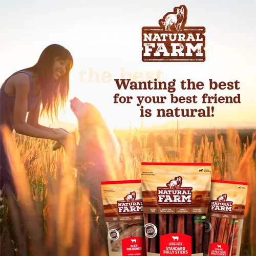 Vista 9 de Natural Farm Bully Sticks sin olor en forma de anillo (3-4 pulgadas, paquete de 10) – 100% masticables de carne de res para más compromiso