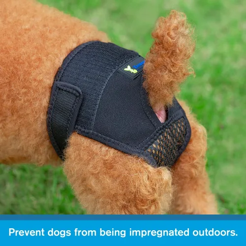 Vista 3 de Bragas para perros en celo, pantalones reutilizables para evitar que se cruzen. Ropa interior lavable para proteger a las perras de perros machos