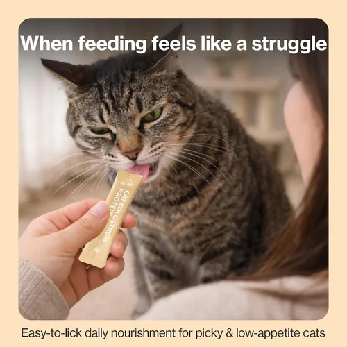 Vista 8 de Doctor By Suplemento de Proteína de Colóstrato para Gatos con Soporte Inmune y Crecimiento Muscular, Suave para la Digestión de Gatitos, Gatos