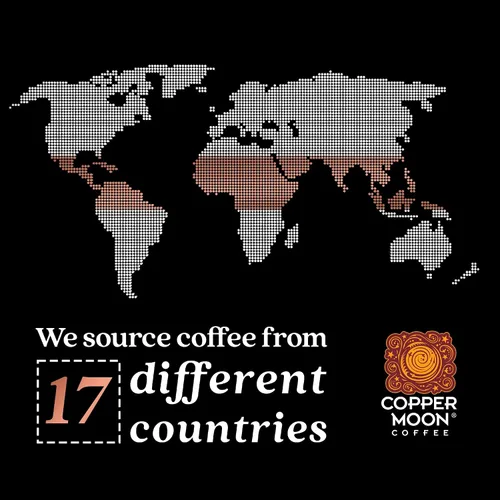 Vista 3 de Copper Moon Bean Me Up - Café blend