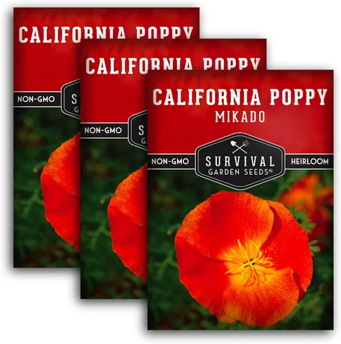 Vista 11 de Paquete de 1 semilla de amapola Mikado California para plantar, paquete con instrucciones para cultivar amapolas rojas en tu huerto casero, variedad
