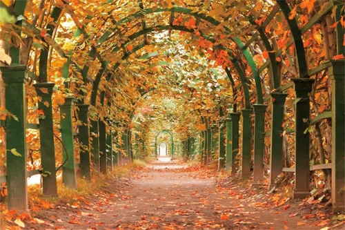 Vista 4 de shensu Telones de fondo de hoja de arce para fotografía, vinilo de 5 x 3 pies, túnel de jardín, hojas caídas de otoño, fondo de fotografía