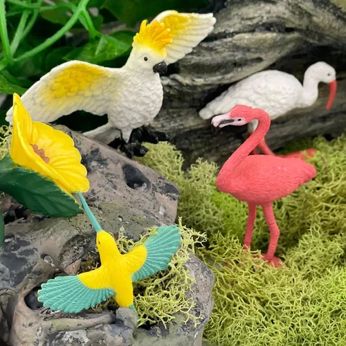 Vista 3 de Safari Ltd. Pájaros exóticos TOOB, Viene con 13 diferentes modelos pintados a mano, figuras de juguete, incluyendo Periquito, Macaw, colibrí, tucán