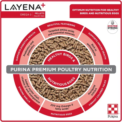 Vista 5 de Purina Layena+ Alimento Nutricionalmente Completo para Gallinas Pondoras Fórmula Omega 3 - Bolsa de 10 libras (10 lb)