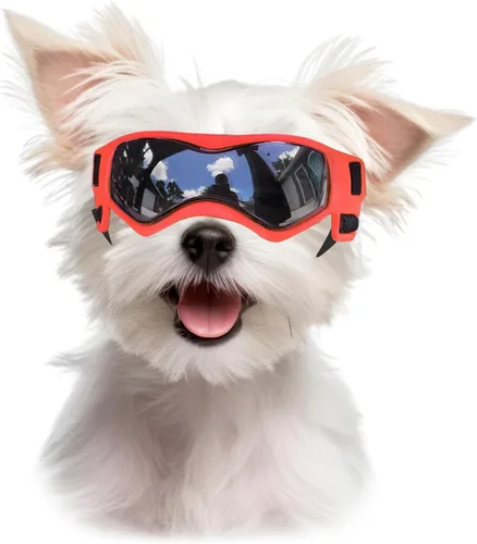 Vista 13 de Gafas de sol para perros para razas extra pequeñas, protección UV, resistentes al viento, XS con correas ajustables para la cabeza y la barbilla