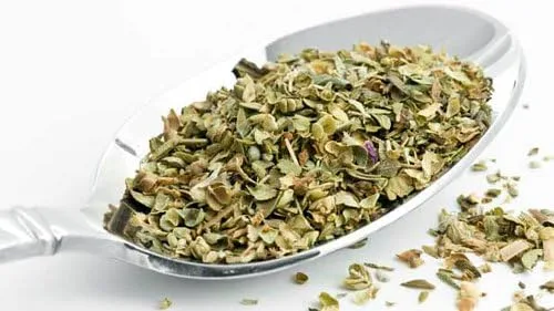 Vista 3 de Más de 250 semillas de orégano griego, heracleoticum, aromáticas, deliciosas y sabrosas, de Estados Unidos