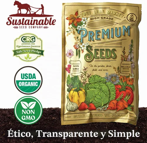 Vista 7 de Semillas de pimiento dulce gigante esmeralda Sustainable Seed Co 250 mg ~