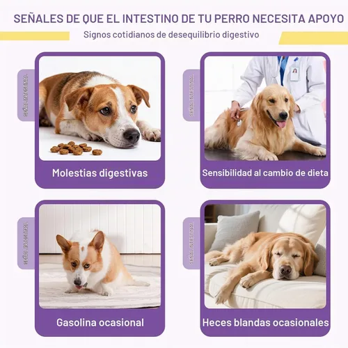 Vista 5 de Probióticos para perros, probióticos masticables y picor intestinal digestivo, probióticos para la piel, alivio de la picazón, diarrea, 50 tabletas