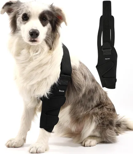 Vista 7 de Codera de perro para codo y hombro de mascotas para artritis de codo, displasia, callos de codo, codo para pierna delantera, protector de codo