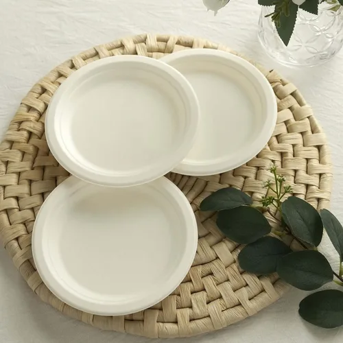 Vista 6 de Efavormart - Paquete de 50 platos redondos de bagazo biodegradables blancos de 7 pulgadas, compostables, ecológicos, desechables, aperitivos, Tipo 17