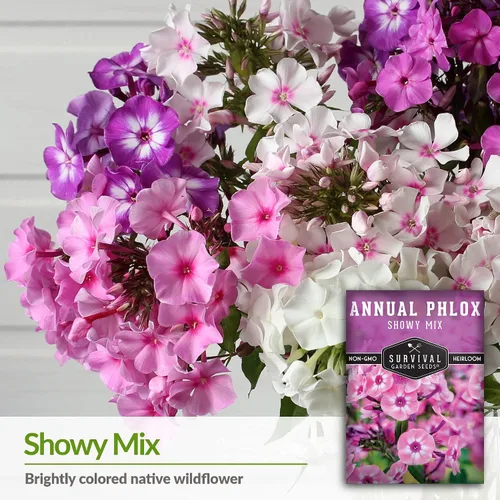 Vista 3 de Survival Garden Seeds - Showy Mix anual Phlox Seed para plantar - 3 paquetes con instrucciones para plantar y cultivar hermosas flores silvestres
