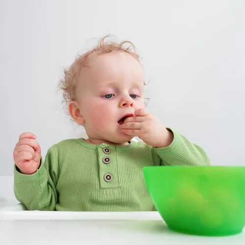 Vista 7 de Stauffers Paquete VALOR de galletas de animales: 2 originales y 2 galletas de chocolate de 72 onzas