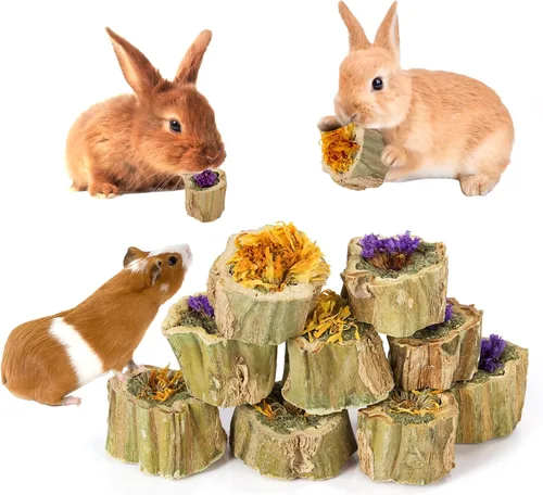 Vista 9 de Abizoo Juguetes masticables de conejo para conejo, madera de papaya natural, golosinas masticables con heno de alfalfa orgánica, zanahoria seca