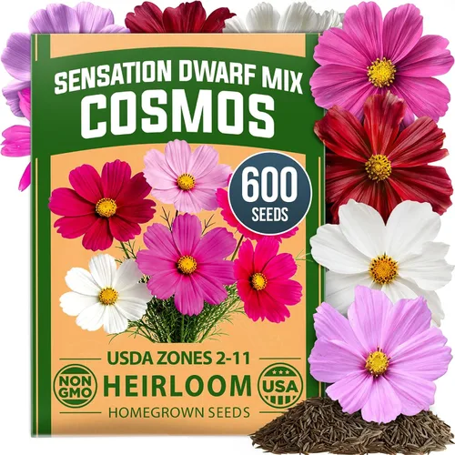 Vista 261 de HOME GROWN California Poppy Formula Mix 3000 Semillas Eschscholzia