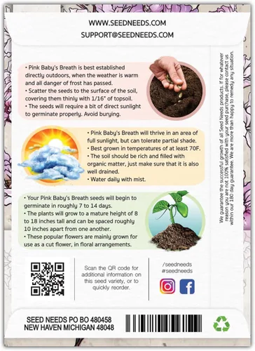 Vista 2 de Seed Needs Semillas de aliento de bebé rosa para plantar flores anuales, 1 paquete