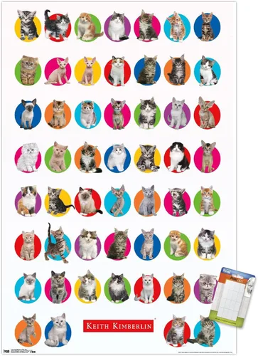 Vista 10 de Trends International Keith Kimberlin - Póster de pared de cuadrícula de gatito, 14.725 x 22.375 pulgadas, versión enmarcada de madera de granero