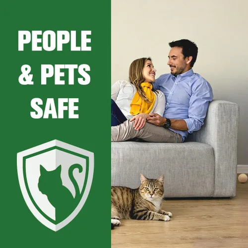 Vista 6 de Repelente para gatos de menta, uso en exteriores e interiores, seguro para niños y mascotas, ayuda a mantener a los gatos fuera del césped, patio
