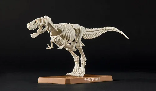 Vista 12 de Bandai Hobby - Plannosaurus - #01 Tyrannosaurus, kit de modelo de dinosaurio Bandai Spirits