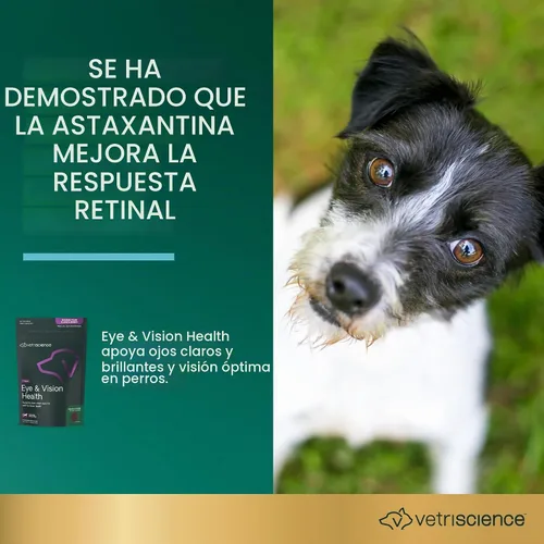 Vista 3 de VetriScience Eye & Vision Health Chews para perros, pollo, 60