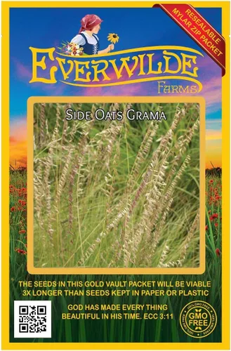 Vista 4 de Everwilde Farms - Semillas de hierba nativa Grama de avena lateral de 1 onza - Gold Vault