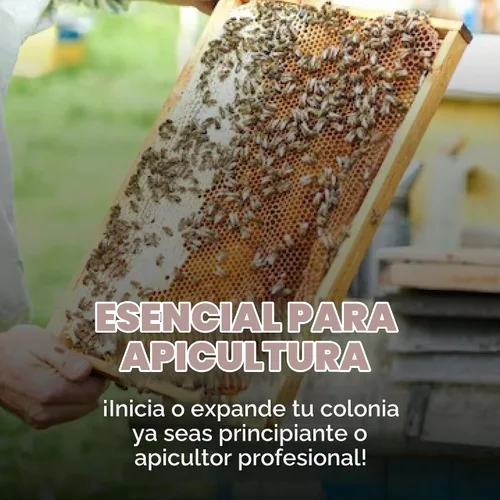 Vista 4 de Mann Lake Formic Pro Varroa Tratamiento para ácaros, 2 dosis