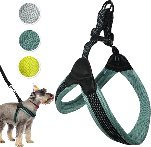 Vista 11 de Sporn Arnés de malla de fácil ajuste para perro de tamaño pequeño, color turquesa, tela suave, de nailon, sin estrangulamiento, arnés para perro