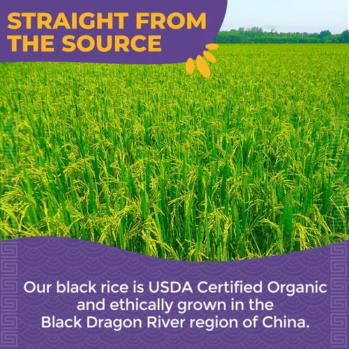 Vista 4 de Lotus Foods Organic Forbidden Rice - Arroz Negro Orgánico, Arroz Morado, Arroz Negro a Granel, Arroz Reliquia Sin Gluten, Grano Entero, Sin OGM