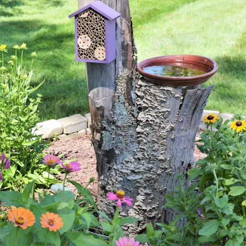 Vista 6 de Nature's Way Productos para Aves PWH1-B Casa de Abeja Púrpura