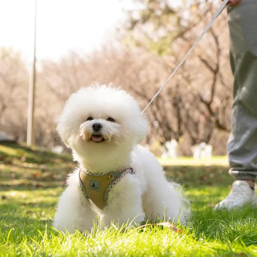 Vista 7 de Juego de Arnés y Correa para Perro - Arnés Sin Tirones Suave y Transpirable para Perros Pequeños, Chaleco Reflectante Ajustable Step-in para Caqui
