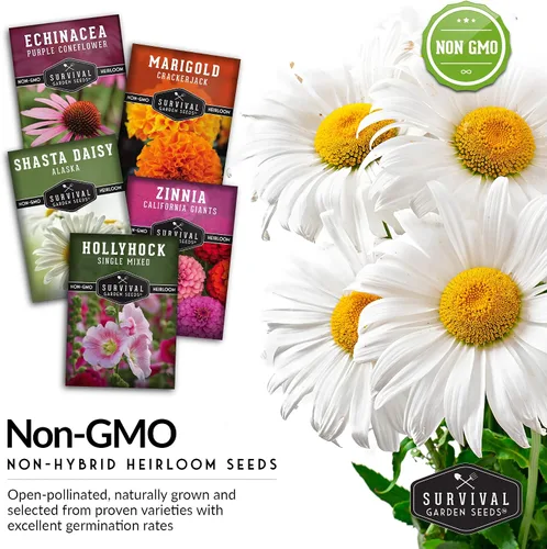 Vista 5 de Colección de 5 semillas de flores para plantar - Zinnia, caléndula, equinácea, margarita y hollyhock - Paquete de regalo de polinizador sin OMG