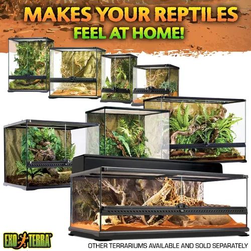 Vista 7 de Kit de terrario de vidrio Exo Terra, para reptiles y anfibios, Nano, 8 x 8 x 8 pulgadas, PT2599A1