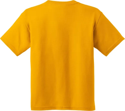 Vista 208 de NCAA Arch Logo, camiseta juvenil color del equipo, universidad - universidad