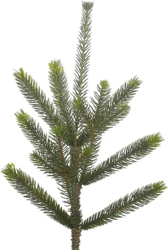 Vista 2 de Vickerman G152250 árbol de navidad artificial sin iluminación