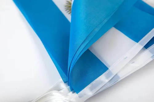 Vista 4 de Bandera argentina, bandera argentina, 100 pies/76 unidades, banderín nacional del mundo del país, suministros de decoración de fiesta, banderas