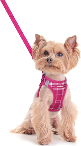 Vista 156 de rabbitgoo Arnés para perro de tamaño pequeño y juego de correa, chaleco Cachorros de manzana