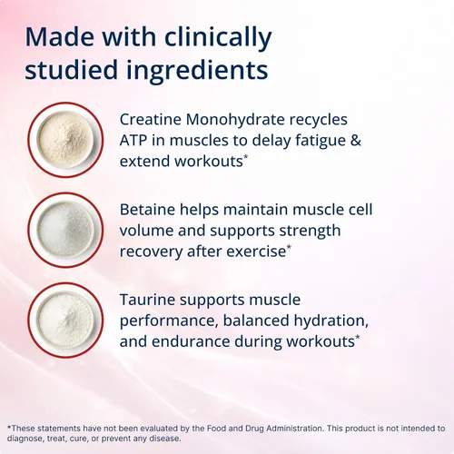 Vista 3 de Metagenics Creatine UP - Suplemento de creatina para mujeres y hombres con betaína y taurina - Apoya el crecimiento muscular, la fuerza